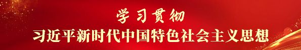 学习贯彻习近平新时代中国特色社会主义思想